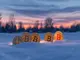 der-altcoin-winter