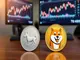 dogecoin-oder-shiba-welche-kryptowaehrung-ist-besser